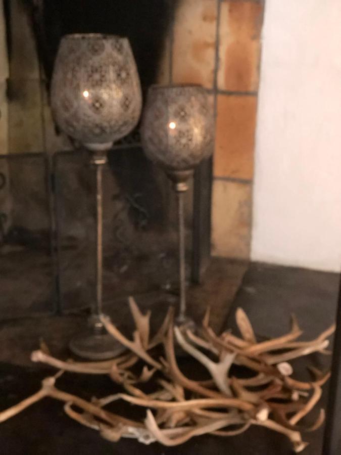 Marsfjaell Mountain Lodge Hotell I Saxnaes 外观 照片